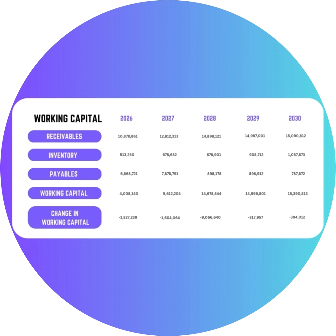 Working Capital Management